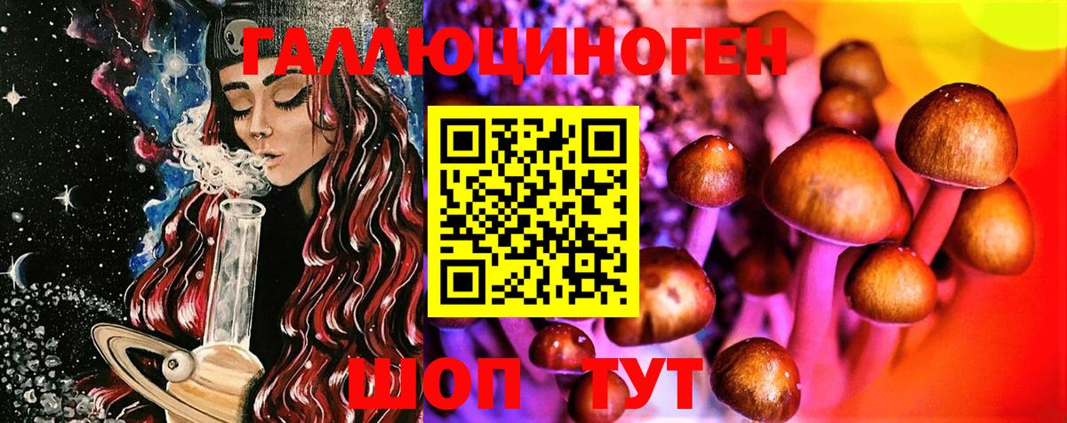 Ивантеевка  Галлюциногенные грибы GOLDEN TEACHER  закладки  Вход с VPN 